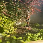 ヴィラ Omnia